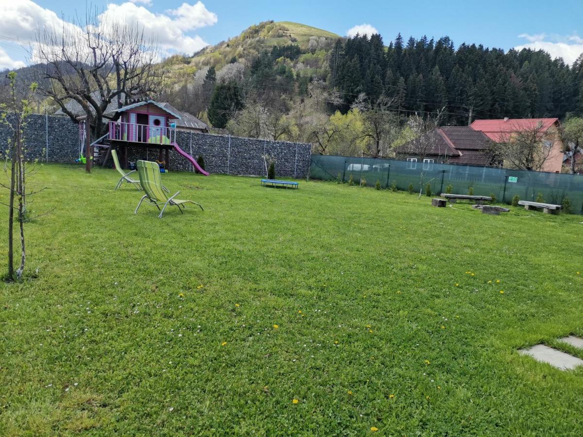 Chalet Bora Viseu de Jos Ngoại thất bức ảnh