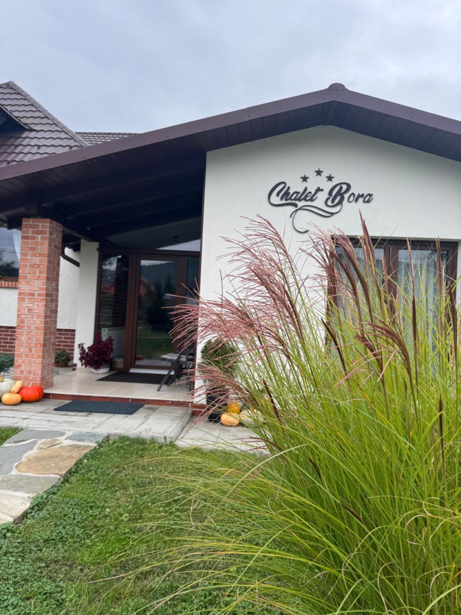 Chalet Bora Viseu de Jos Ngoại thất bức ảnh