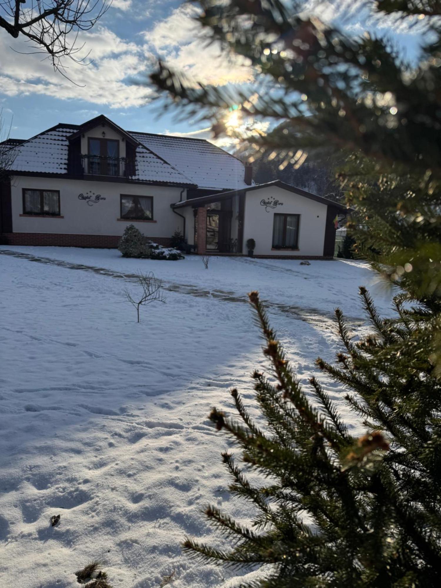 Chalet Bora Viseu de Jos Ngoại thất bức ảnh