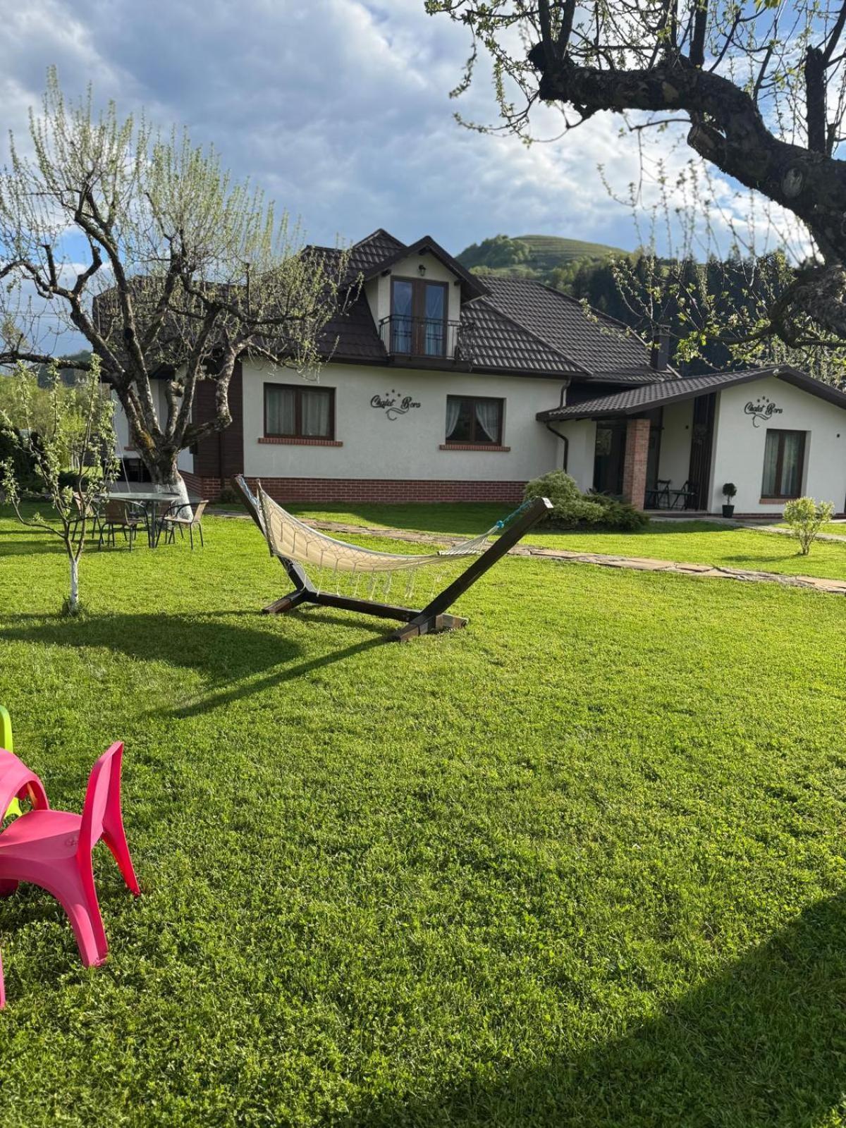 Chalet Bora Viseu de Jos Ngoại thất bức ảnh