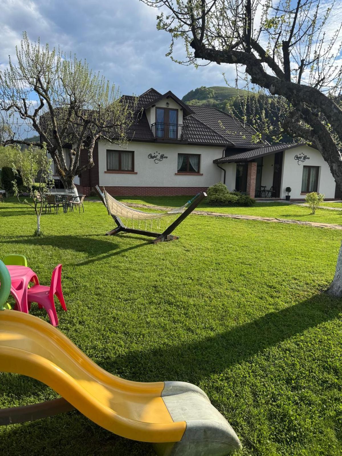 Chalet Bora Viseu de Jos Ngoại thất bức ảnh